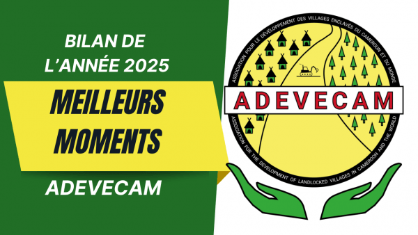 Bilan 2025 Adevecam